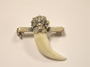 Broche Dent de renard