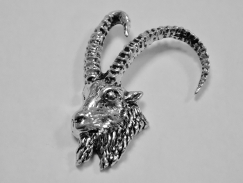 Pins t�te de mouflon
