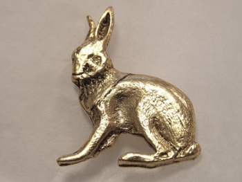 Pins li�vre entier dor�