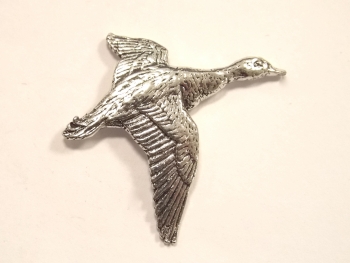 Pins canard en vol ref 2